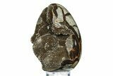 Septarian Dragon Egg Geode - Sparkly Black Crystals #308813-2